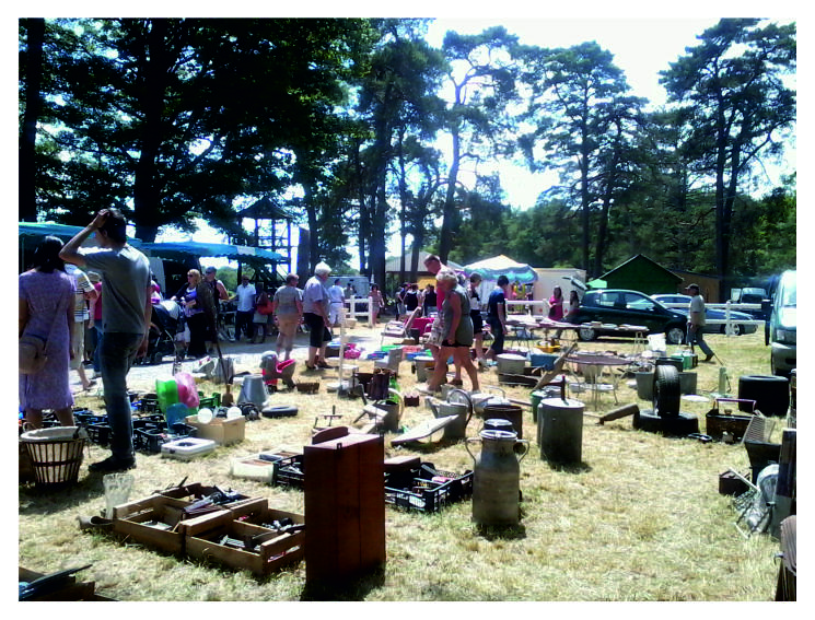 Brocantes à Sillé-le-Guillaume (72140) – hippodrome